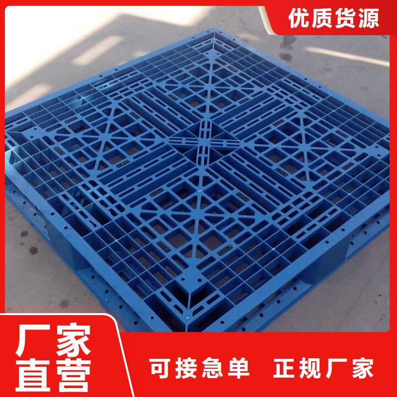  塑料托盘实体厂家本地经销商