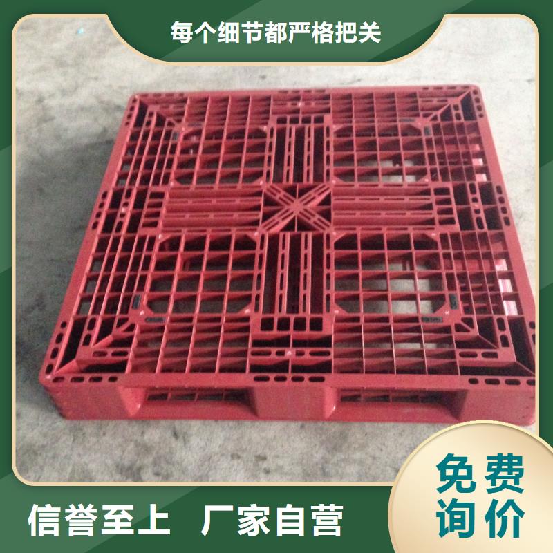 塑料防潮板规格型号同城供应商