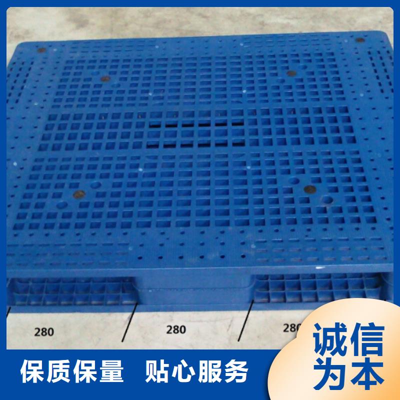 郎溪县塑料托盘本地工厂现货交易