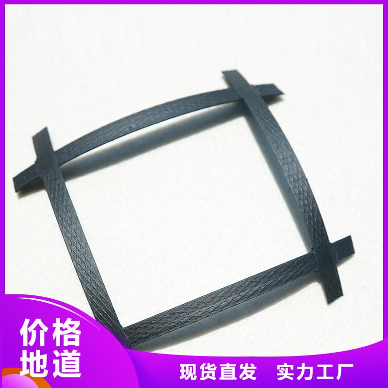 塑料土工格栅厂家报价厂家案例