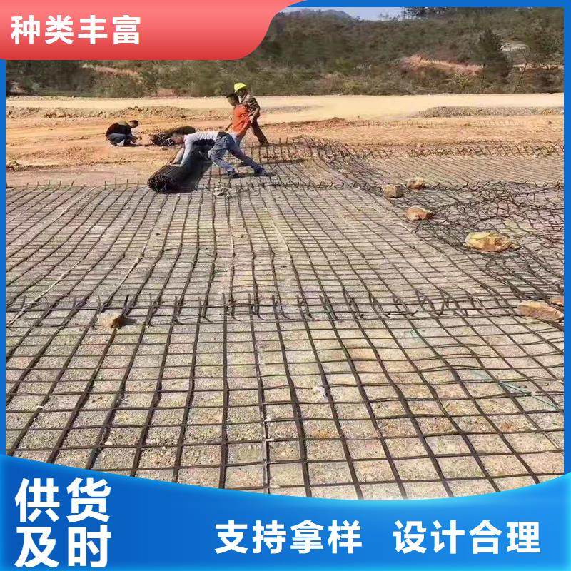 玻纤土工格栅源头厂家当地品牌