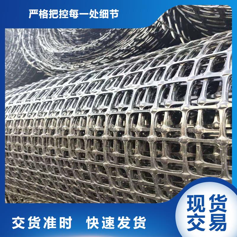 玻纤土工格栅厂家现货当地经销商
