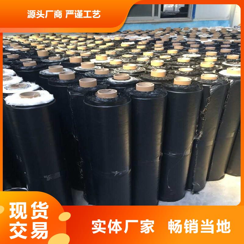 土工格栅厂家支持货到付清