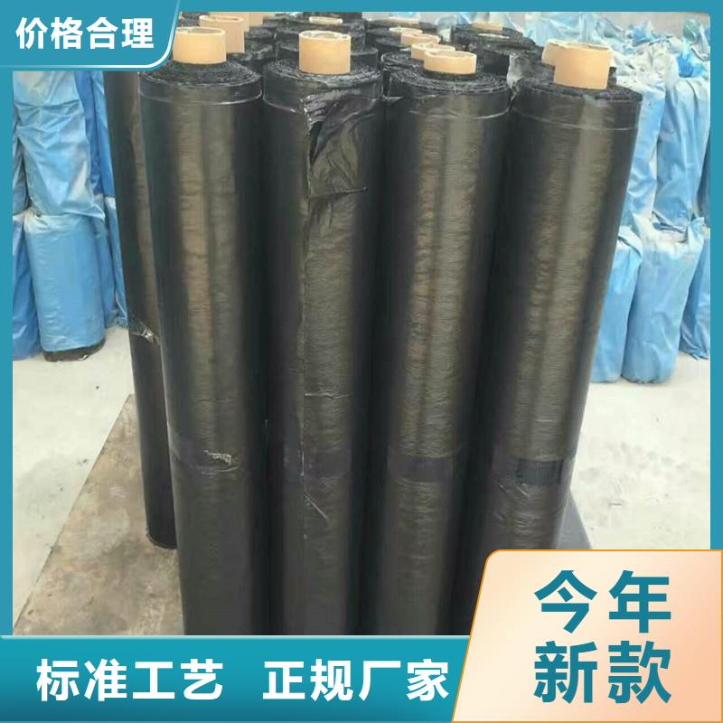 玻纤土工格栅实力厂家型号齐全