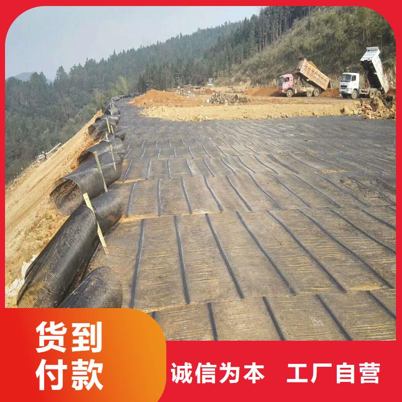 双向塑料土工格栅价格厂家十分靠谱