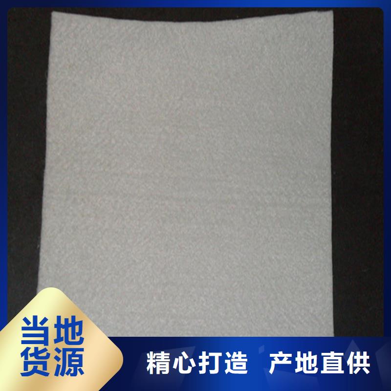 防渗土工布批发来图来样定制