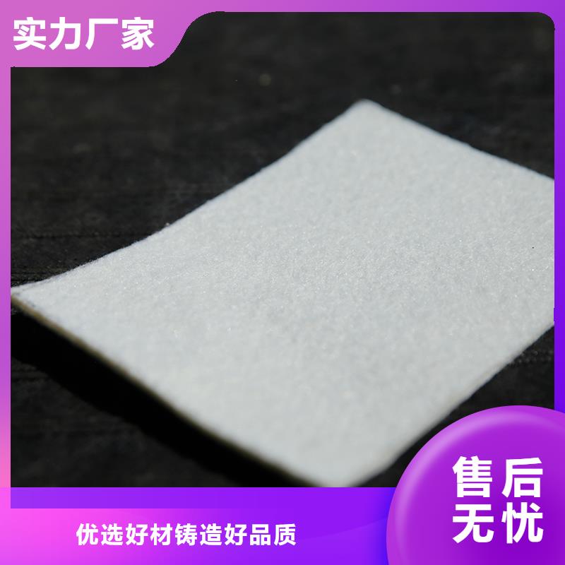 土工布HDPE复合排水板24小时下单发货厂家新品
