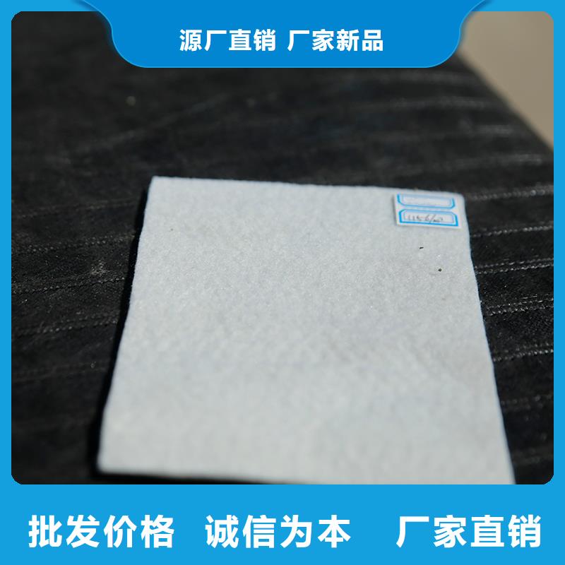 短丝土工布哪有卖的专业生产团队