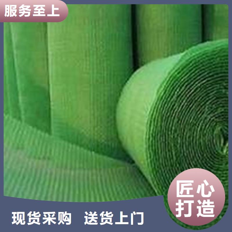 土工布双向塑料土工格栅市场行情自主研发