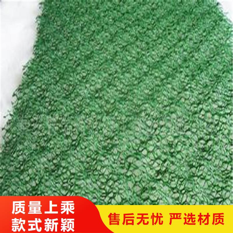 土工布-三维植被网有实力有经验本地经销商