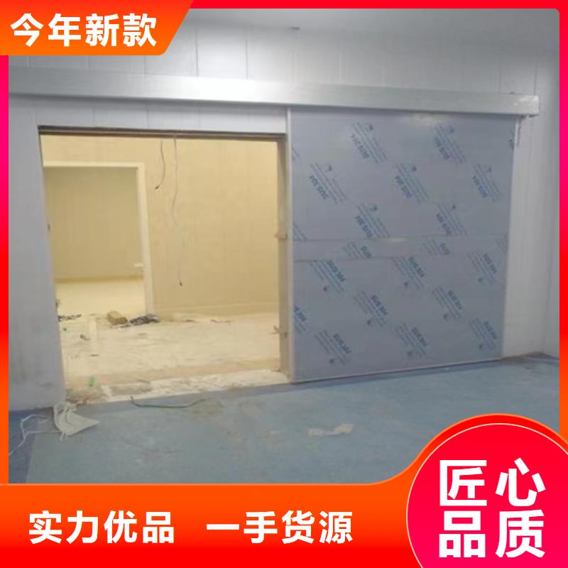定制铅门质量保证发货快本地公司