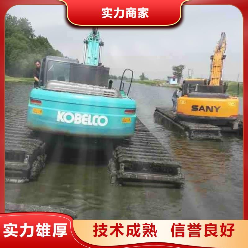 水上挖掘机租赁_【租赁湿地挖机】实力商家多家服务案例