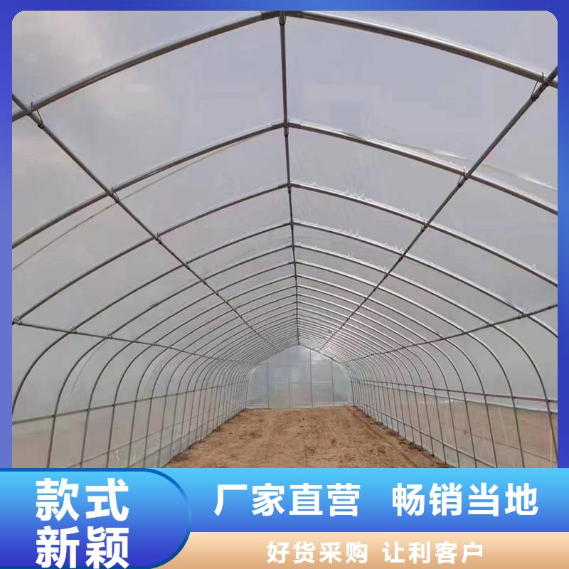 饶平县葡萄避雨大棚品质保障生产安装
