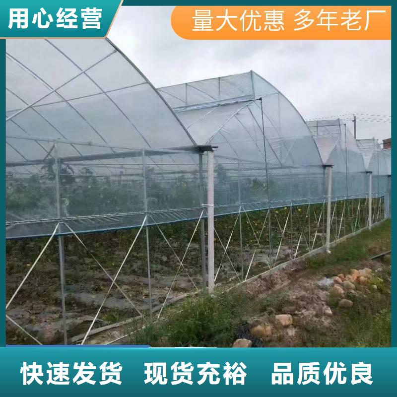 连栋温室大棚厂家-值得拥有快速发货