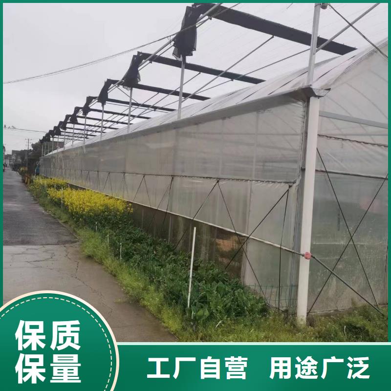 吴兴区蔬菜大棚欢迎订购品质做服务