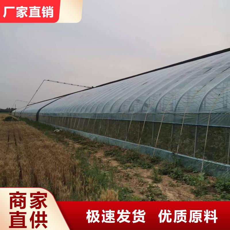 饶平县8米宽度育苗大棚源头厂家2025--09来图定制