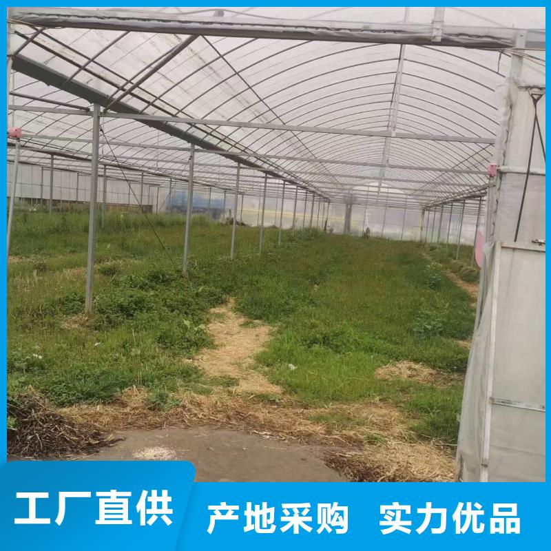 蔬菜温室大棚钢管厂家批发品质保证2025-全国配送用好材做好产品