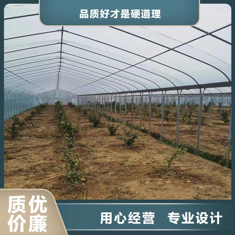 西瓜大棚膜实体大厂品质商家