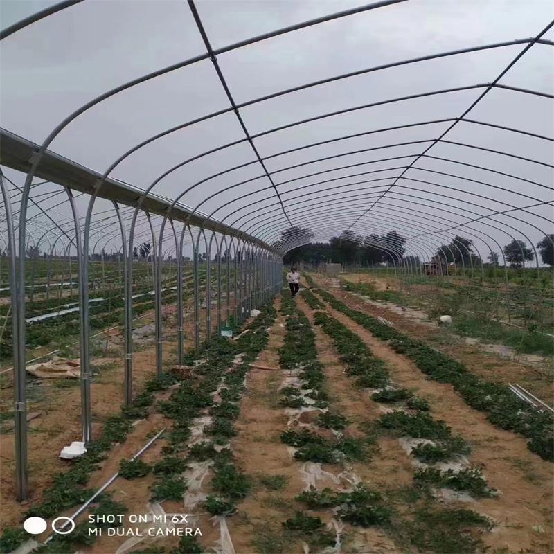 博山区养殖大棚的宽度标准【修饰词欢迎来电咨询