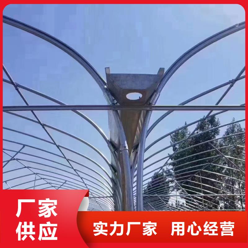 蓝莓大棚无滴膜厂家报价2025乡村振兴计划用心做好每一件产品