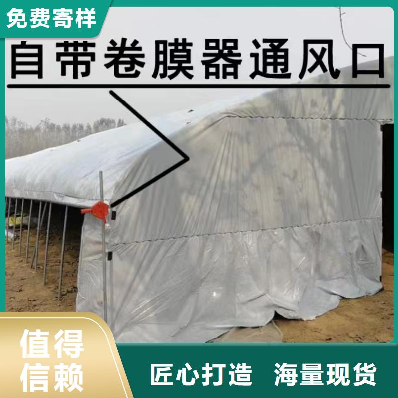 金城江区GP832镀锌大棚钢管厂家报价当地货源