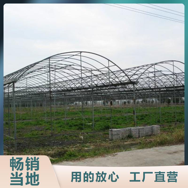 南浔区4分6分1寸蔬菜大棚管源头厂家本地公司