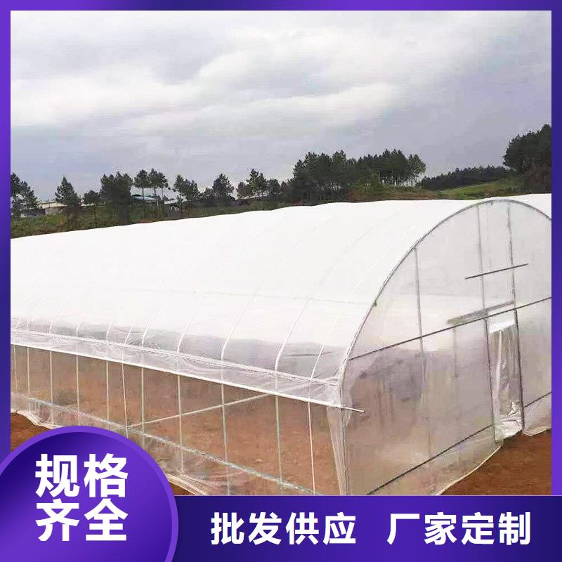 吴兴大棚防风卡槽两道和一道哪个好当地货源