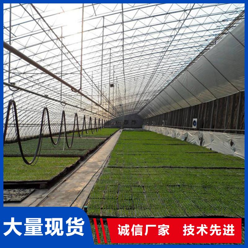嵊泗县大棚防风卡条批发价2025--境内派发支持大批量采购