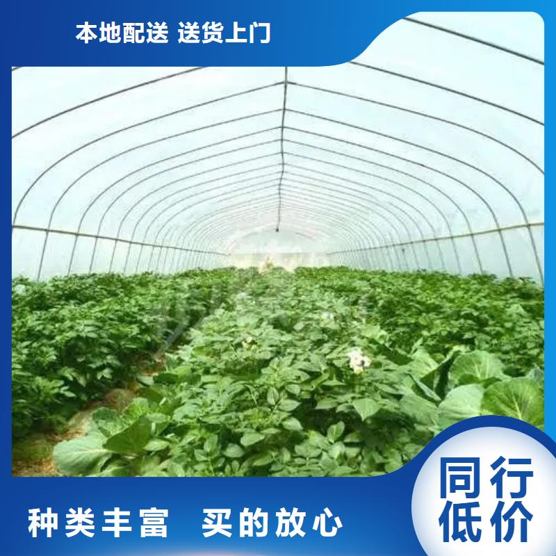 大棚水槽源头厂家质量牢靠
