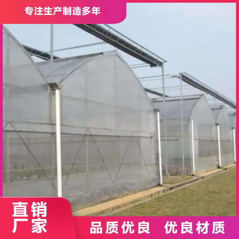 葡萄避雨大棚直销价格实力厂家