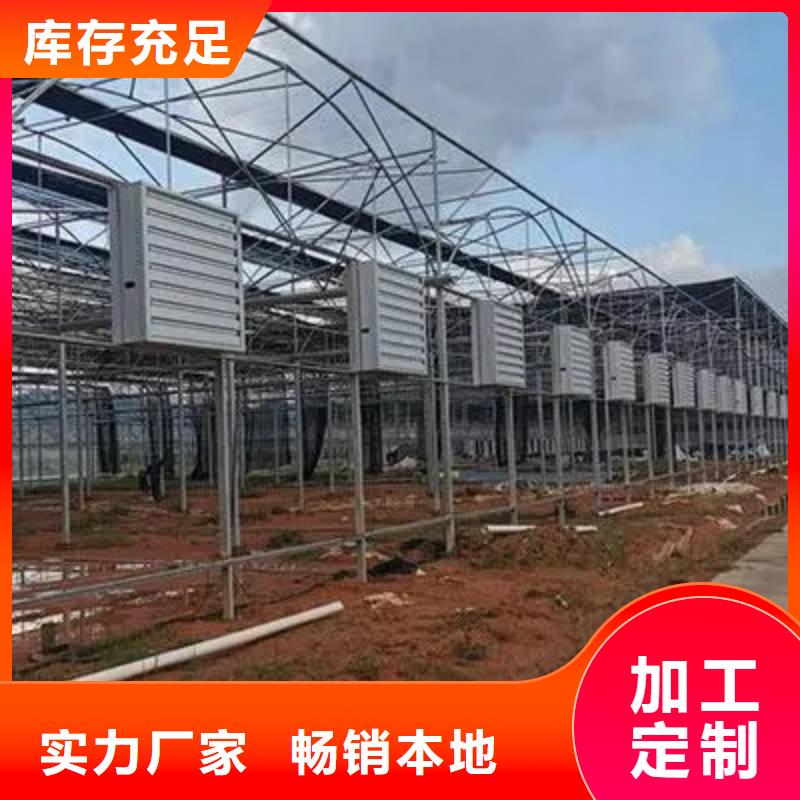 花卉育秧温室大棚货源信誉有保证
