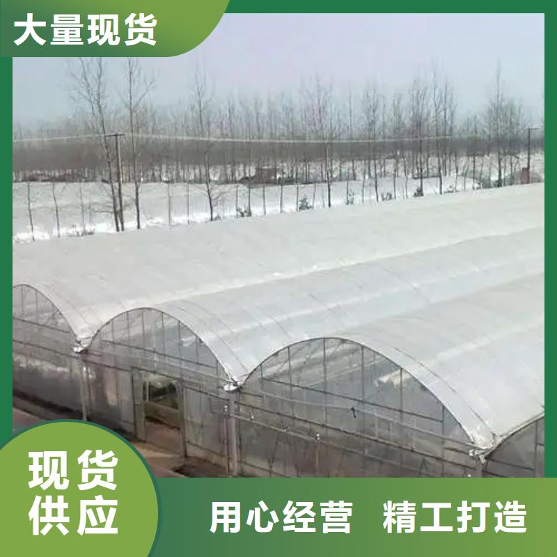 饶平县温室大棚厂家品质保证2025--09本地生产厂家
