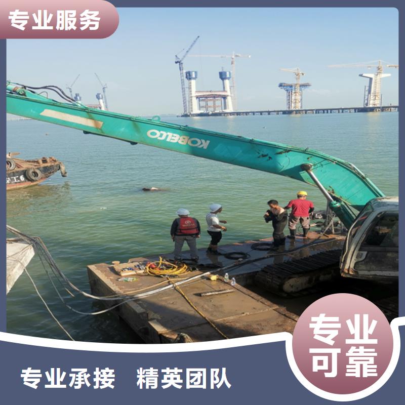 水下录像欢迎电询精英团队