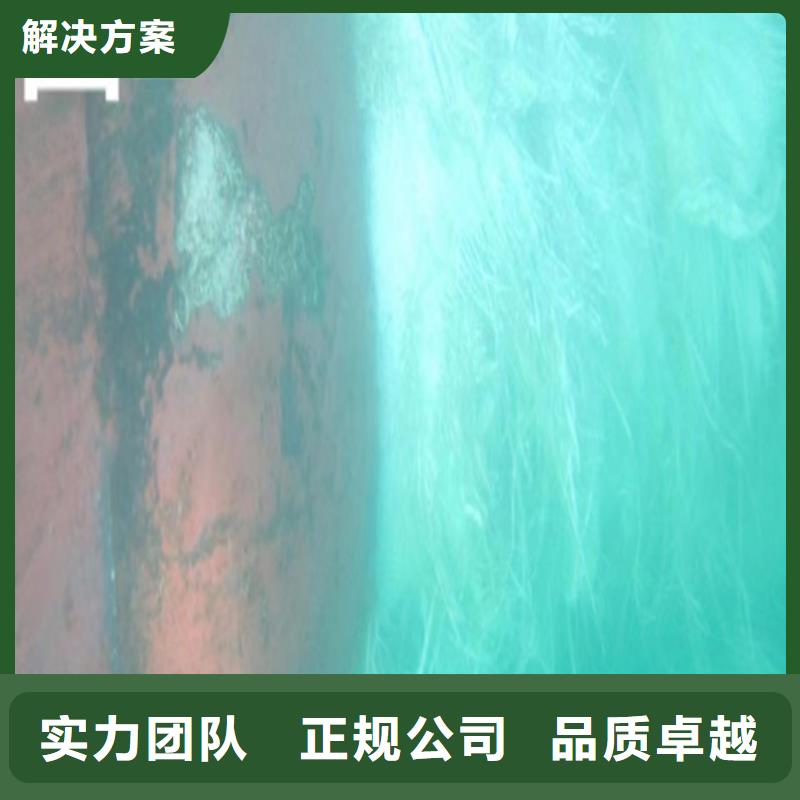 水下作业欢迎咨询有实力