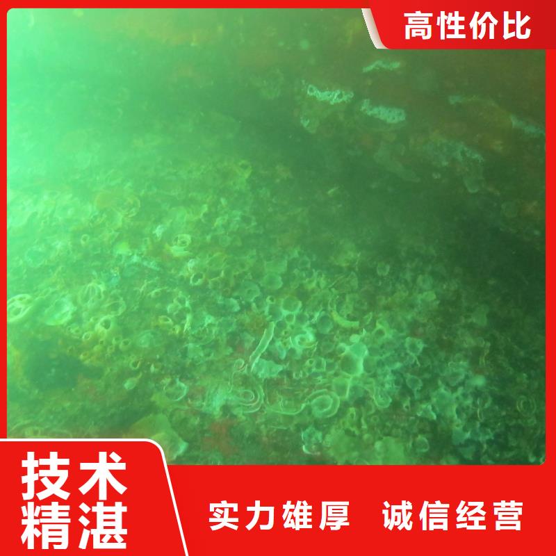 电厂闸门清理欢迎来电当地生产商