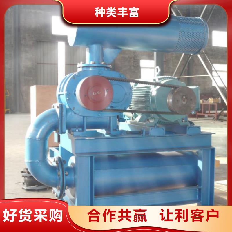 山东临风科技股份有限公司三叶罗茨鼓风机LFSR100规格齐全