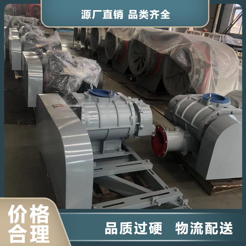 山东临风科技股份有限公司洗煤专用罗茨风机LFSR100当地厂家