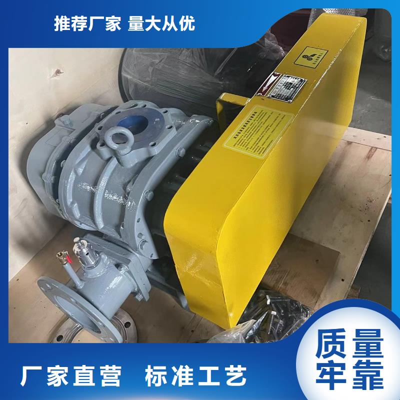 山东临风科技股份L系列罗茨风机LFSR150全新升级品质保障