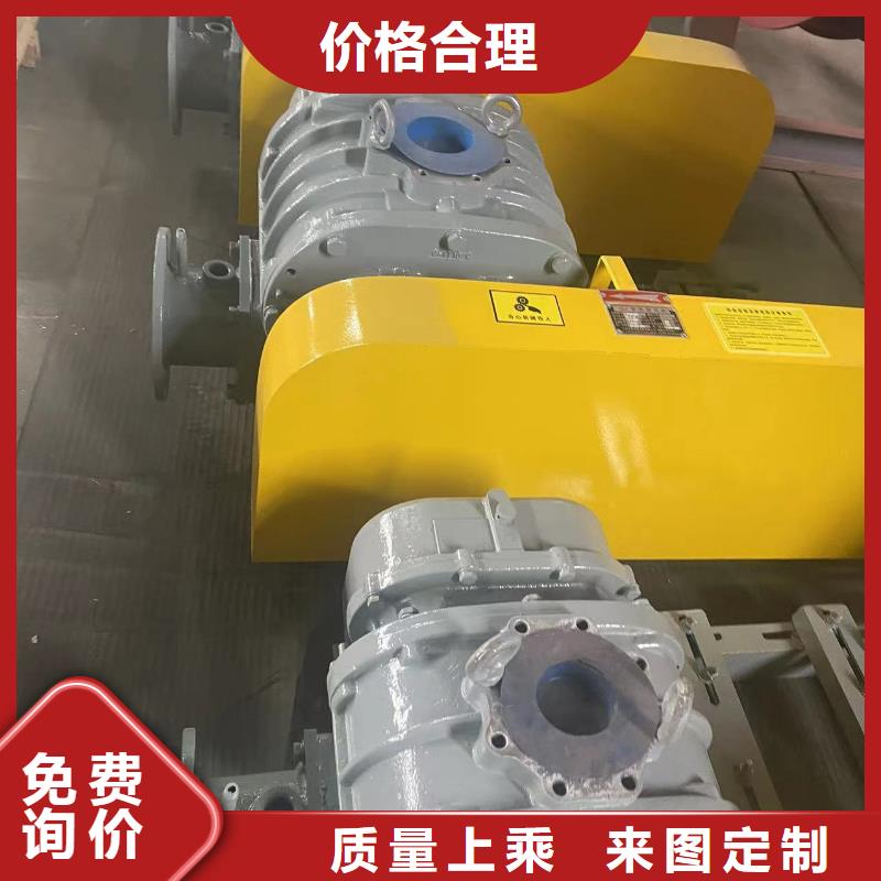 2025L系列罗茨风机LFSR200厂家经验丰富