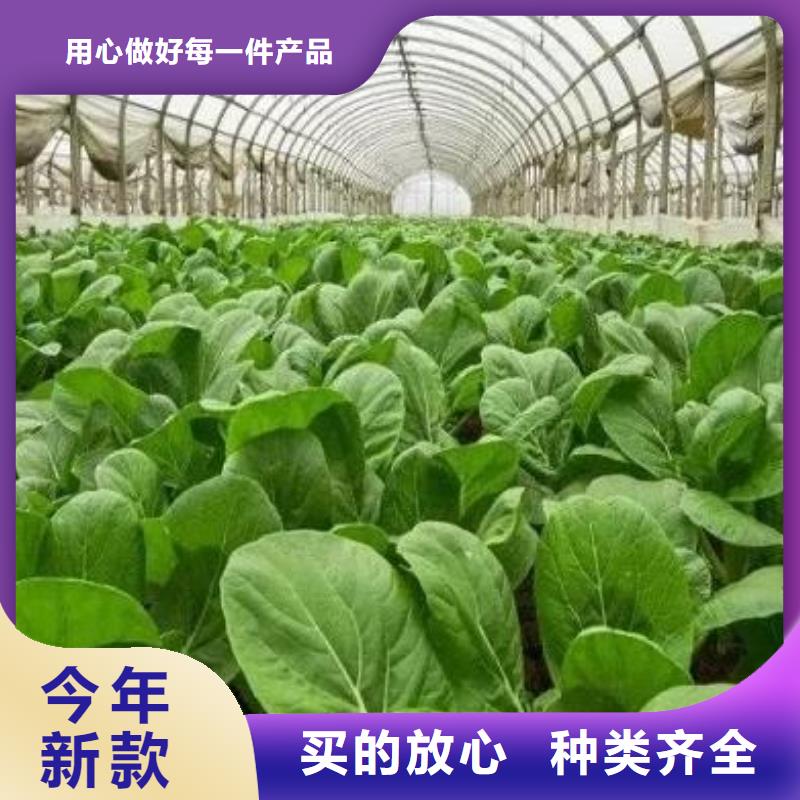 羊粪有机肥改良土壤板结产品优良