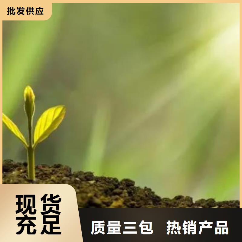 羊粪有机肥土壤肥力好品质经得住考验