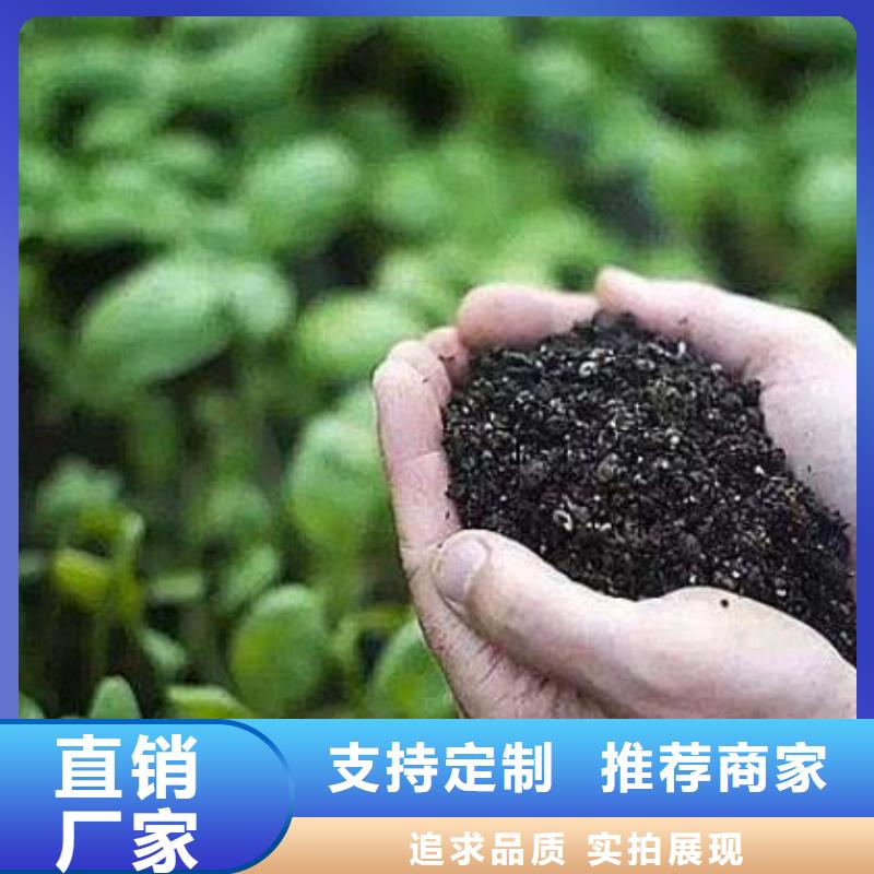 晒干鸡粪有啥用当地制造商