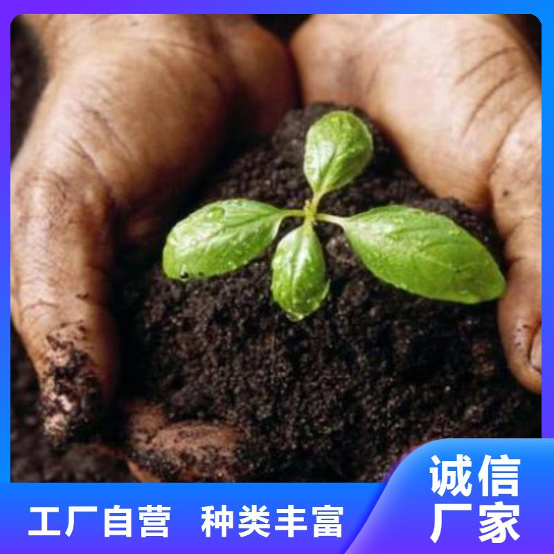 鸡粪有机肥新价格当地货源
