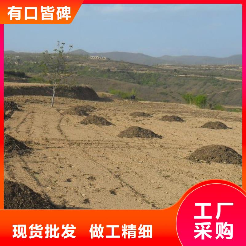 鸡粪肥效持久服务至上