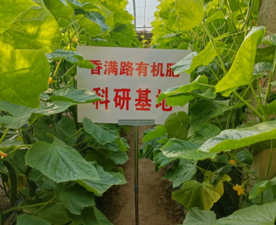 琼中县鸡粪有机肥增加苹果收入信誉有保证