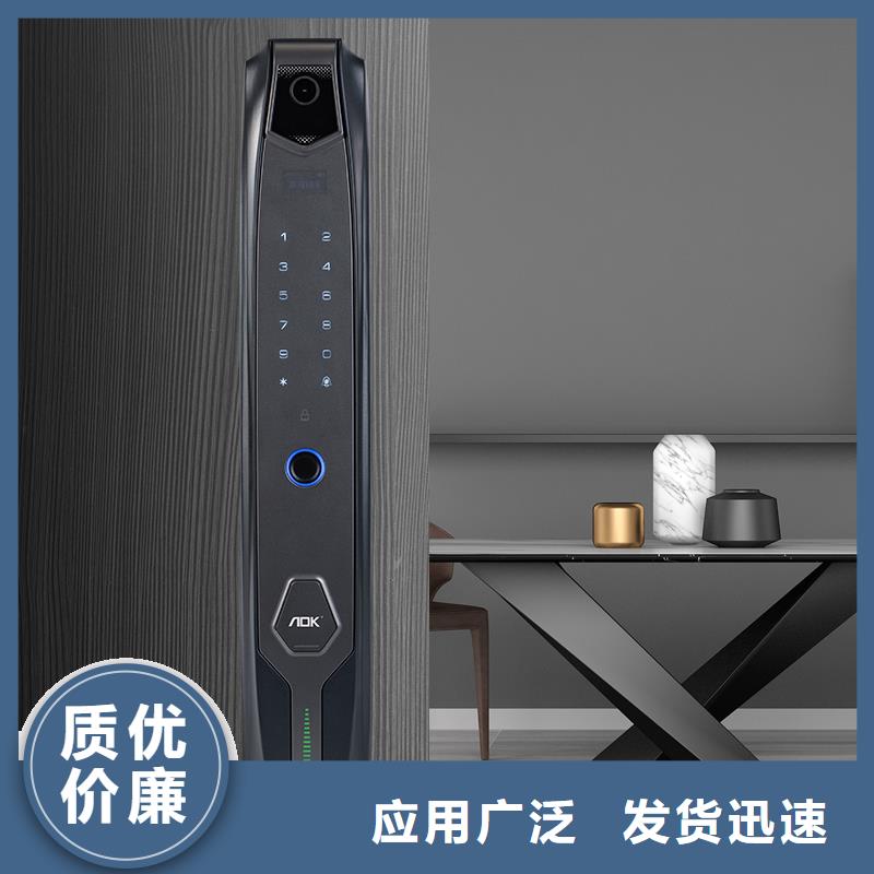 智能锁人脸识别智能锁批发交货准时同城生产厂家