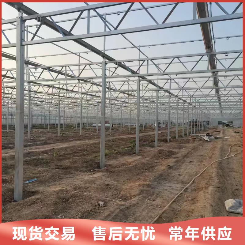 温室大棚光伏支架地桩实力大厂家采购