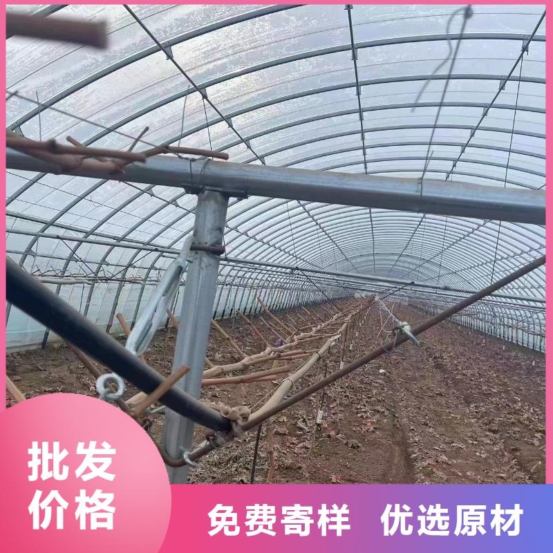 【温室大棚】锌铝镁光伏支架生产安装发货迅速