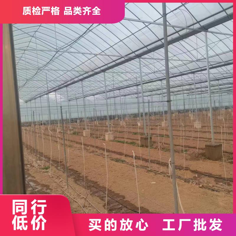 玻璃温室棉被安装发货及时