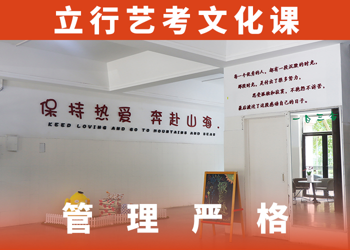 艺考文化课集训-【高考小班教学】理论+实操